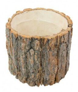 Location vase champêtre Reims contenant tronc d'arbre