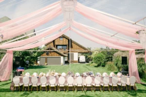 Le wedding champenois